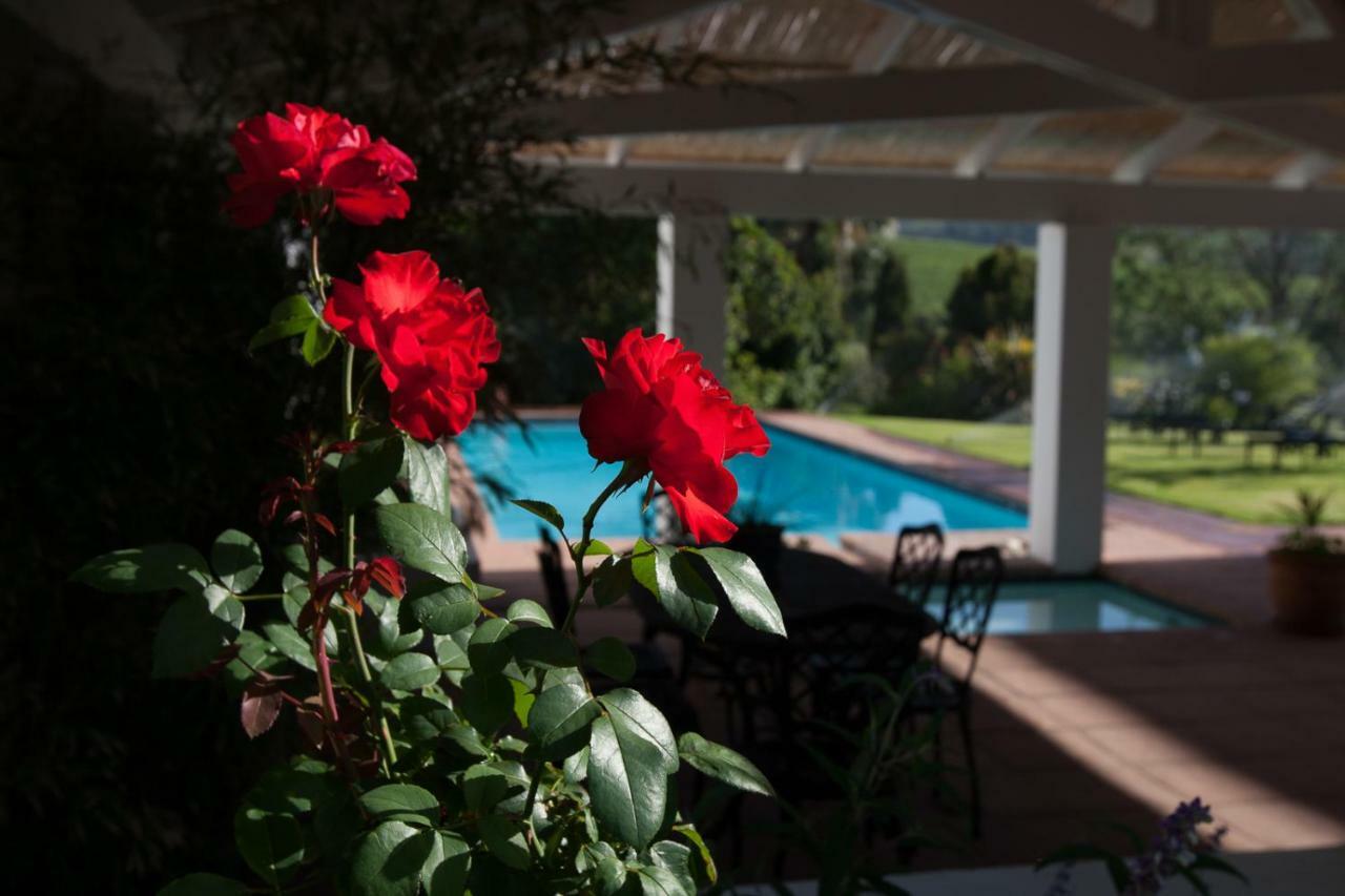 Sanddrif Stellenbosch Guest Farm Exteriér fotografie